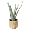 Aloe vera kunstplant - 33 cm