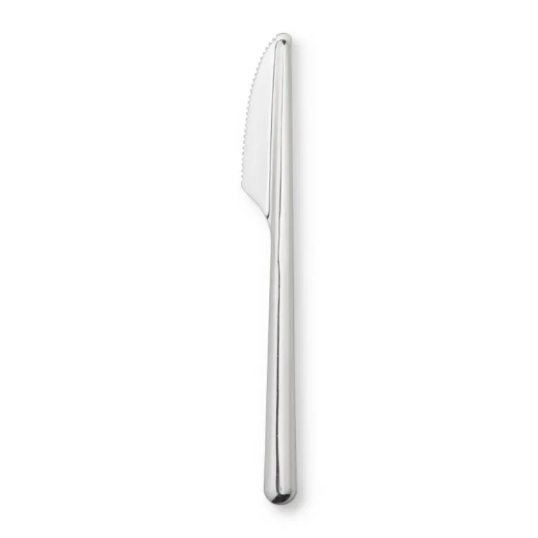 Amefa RVS messen - zilverkleurig - 20 stuks
