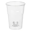 Bierglazen - 250 ml - set van 12