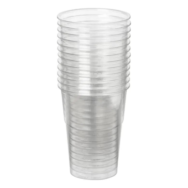 Bierglazen - 250 ml - set van 12