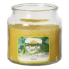 Citronella kaars in glas - geel - ø10x13.5 cm