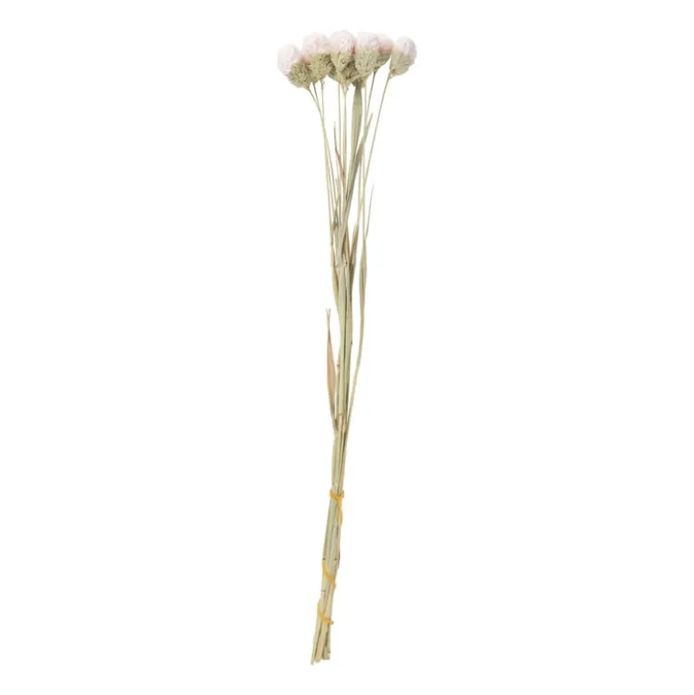 Droogbloemen - diverse varianten - 38 cm
