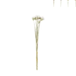 Droogbloemen - diverse varianten - 38 cm