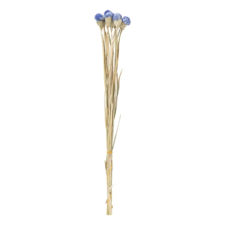 Droogbloemen - diverse varianten - 38 cm