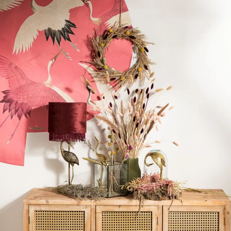 Droogbloem - Lagurus - 70 cm