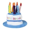 Feesthoed happy birthday - one size