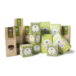 Fine Flavours groene thee - 10 zakjes