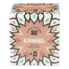 Fine flavours kruiden thee - kaneel - 10 zakjes