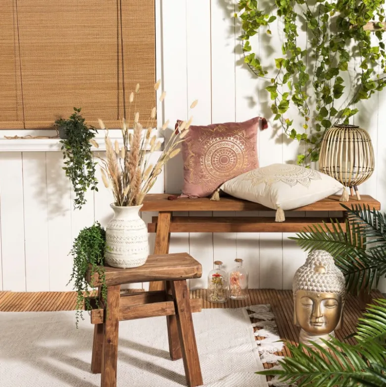 Hangficus in pot aan touw - 55 cm