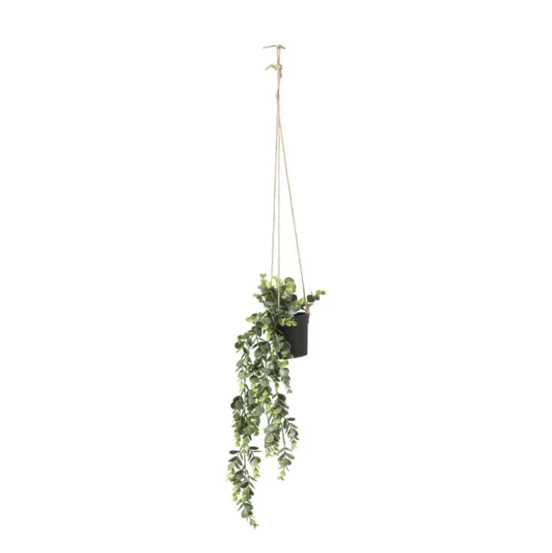 Hangplant - 65 cm