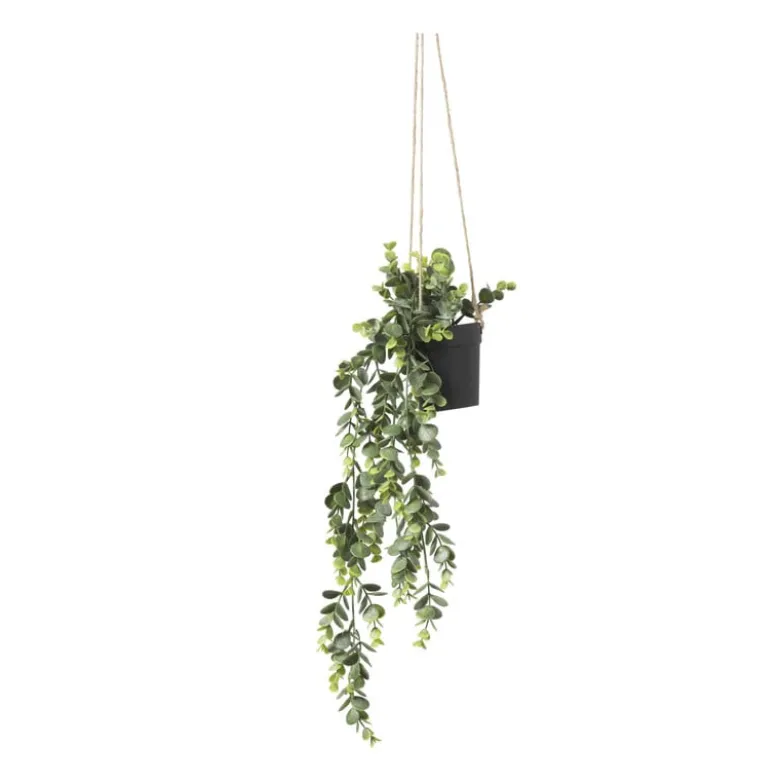 Hangplant - 65 cm