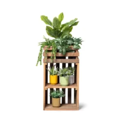 Hangplantje in potje - lang blad