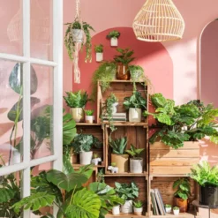 Hangplantje in potje - spits blad