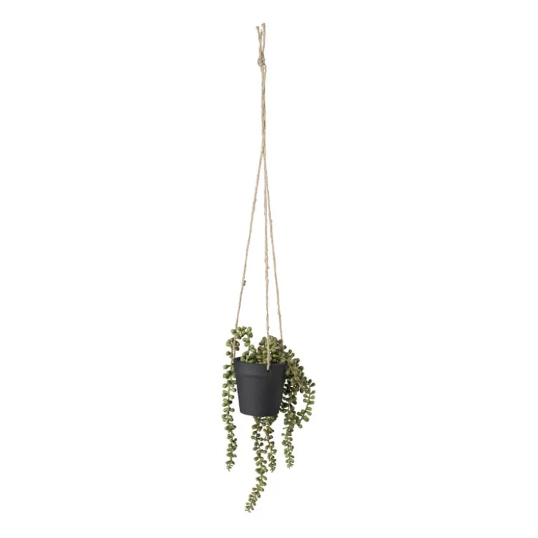 Hangplantje in pot - zwart - 9x9x70 cm