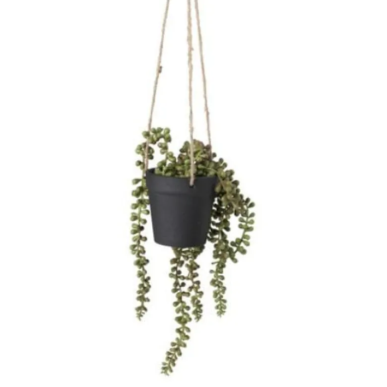 Hangplantje in pot - zwart - 9x9x70 cm