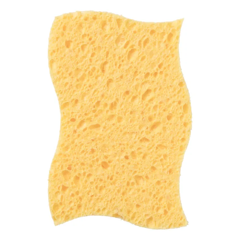 Huishoudspons