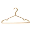 Ijzeren kleerhangers - goudkleurig - set van 4