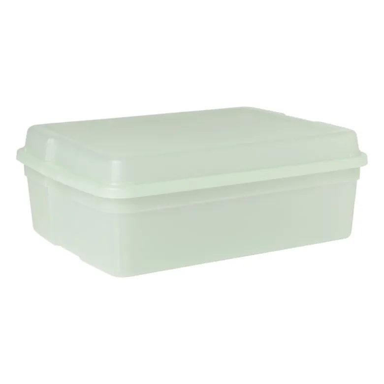 Iris clearbox - 10 liter - groen