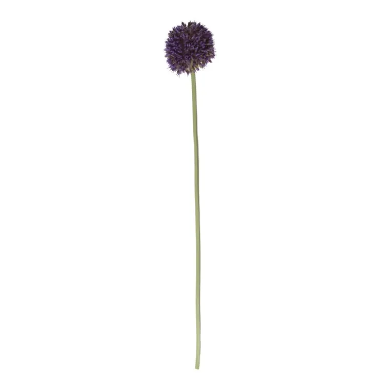 Kunstbloem allium - diverse varianten - 50 cm