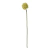 Kunstbloem allium - groen/wit - 50 cm
