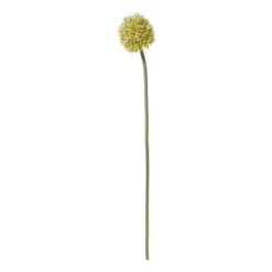 Kunstbloem allium - groen/wit - 50 cm