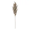 Kunstbloem pampas tak - 80 cm - diverse kleuren
