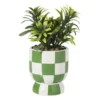 Kunstplantje geblokt - groen - ø8x17 cm