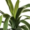 Kunstplant palm op lange steel - groen - ø15x90 cm