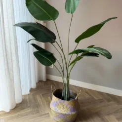 Kunstplant strelitzia - 160 cm