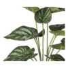 Kunstplant syngonium - 36 cm
