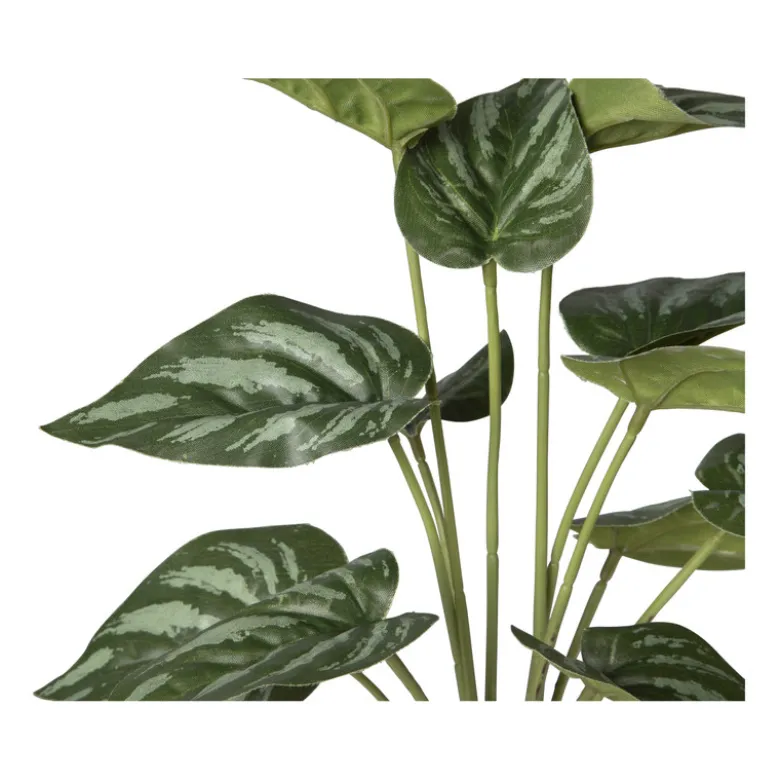 Kunstplant syngonium - 36 cm