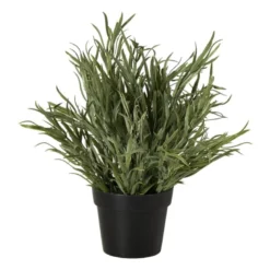 Lavendel plantje in pot - groen - ø16x24 cm