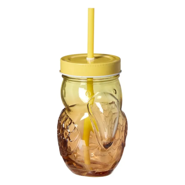 Mason jar toekan - oranje/geel - 400 ml