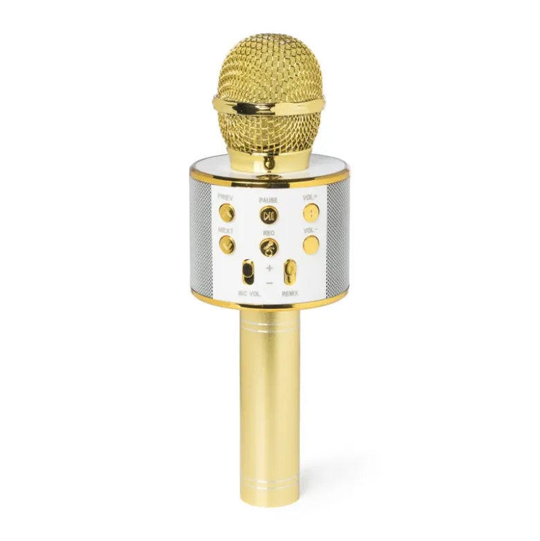 Microfoon karaoke - diverse kleuren - ø7x22.5 cm