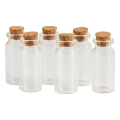 Mini flesjes met kurk - 6 stuks - 6x10 ml