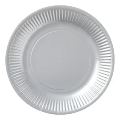 Papieren bordjes - zilverkleurig - set van 8