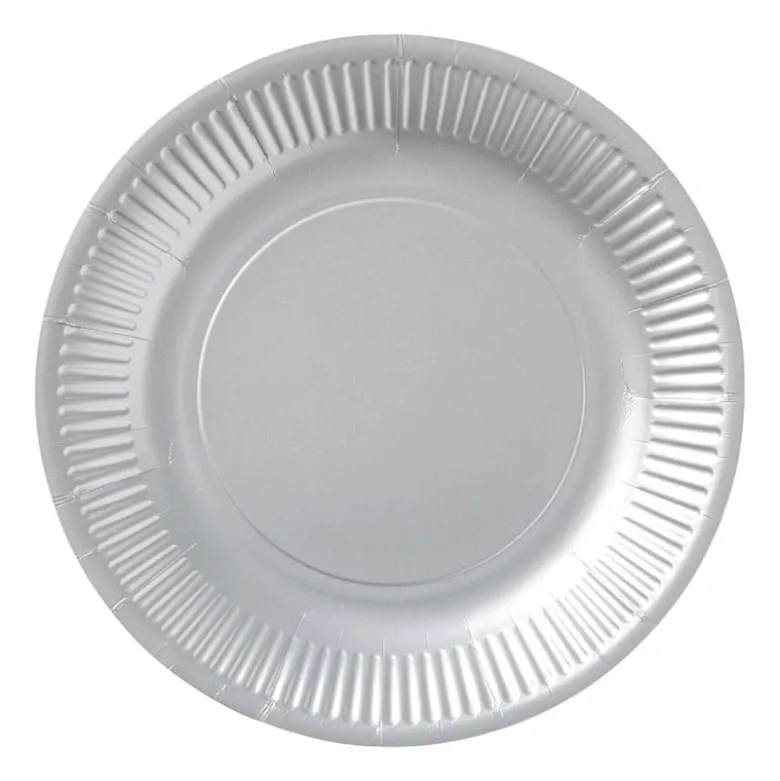 Papieren bordjes - zilverkleurig - set van 8