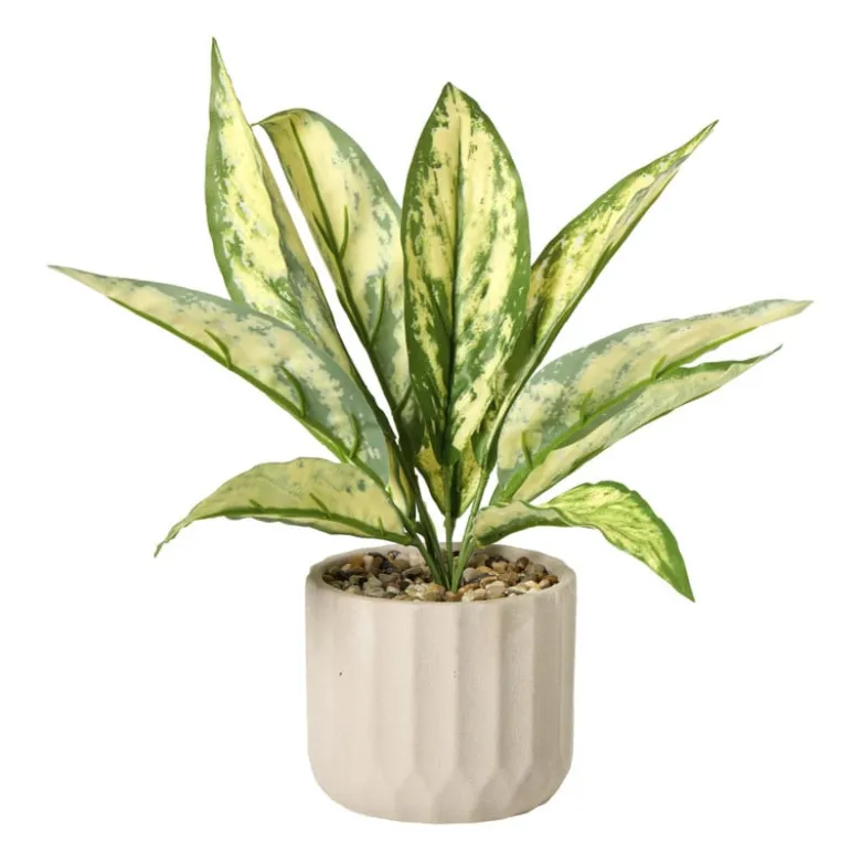 Plant in pot - ø10.5x26 cm - diverse varianten