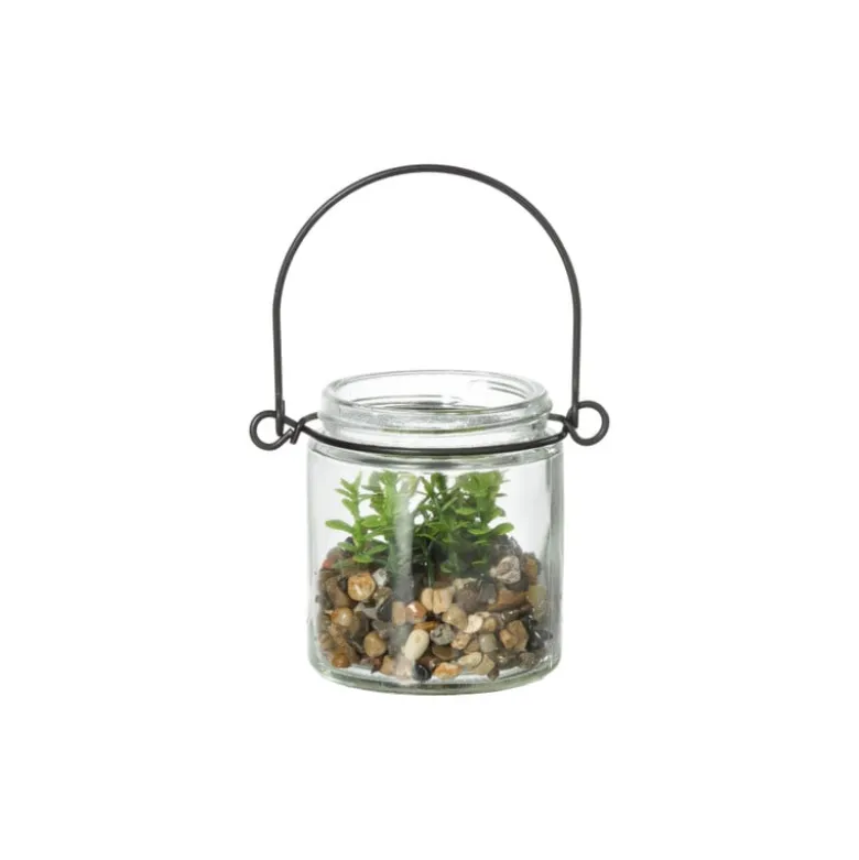 Plantje in glas - ø6x6.7 cm