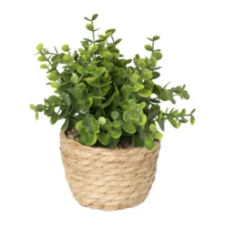 Plantje in rieten mand - rond blad - ø10x19 cm