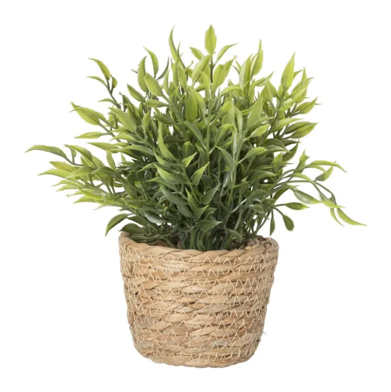 Plantje in rieten mand - spits blad - ø10x19 cm