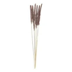Pluim smal - 6 stuks - 70 cm