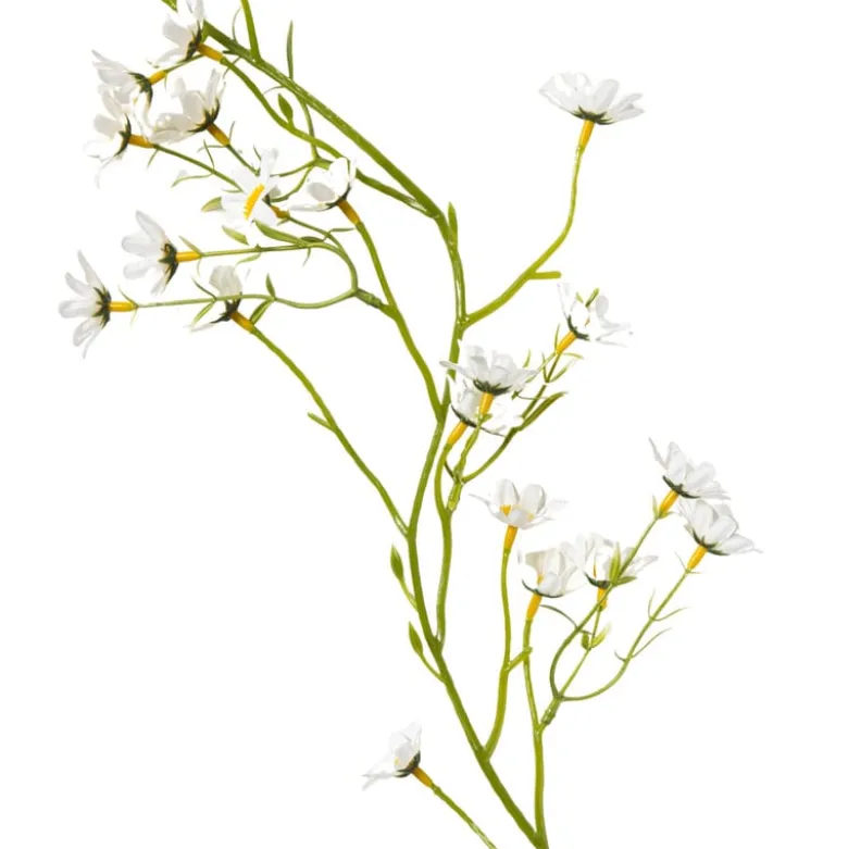 Slinger bloemen margriet - wit/geel - 210 cm