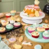 Taart- of cupcakedoos - ø28x14.5 cm