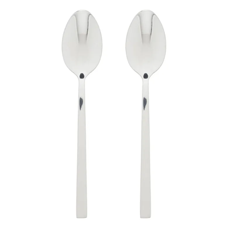 Tafellepels - zilverkleurig - set van 2