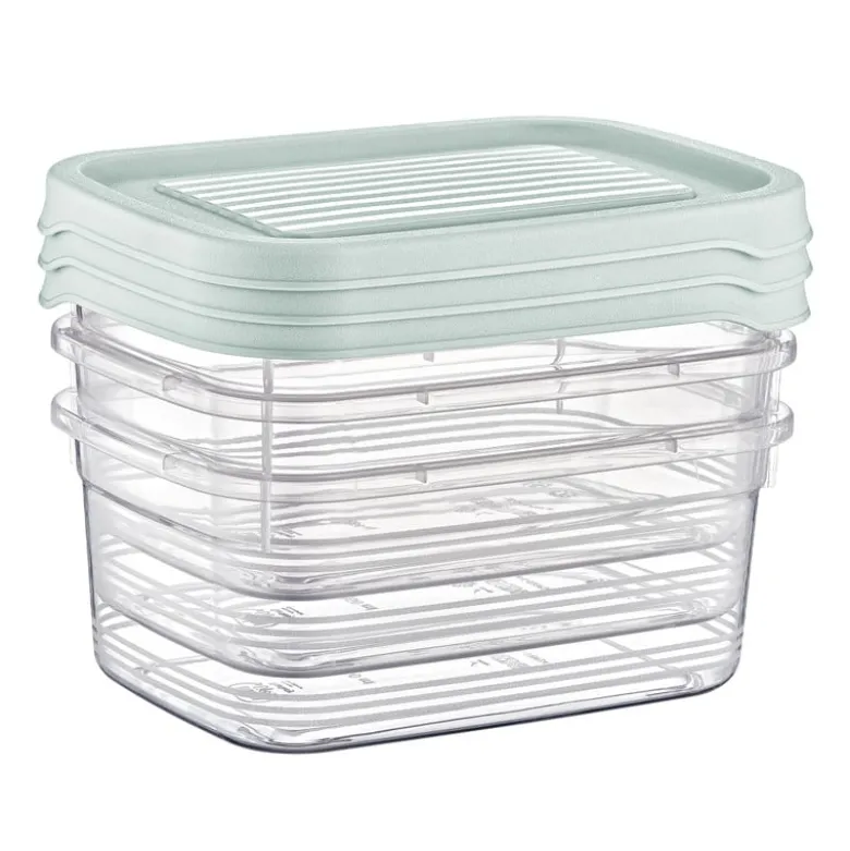 Vershoudbakjes - 850 ml - set van 3