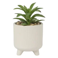 Vetplantje in pot - beige - ø8x15 cm