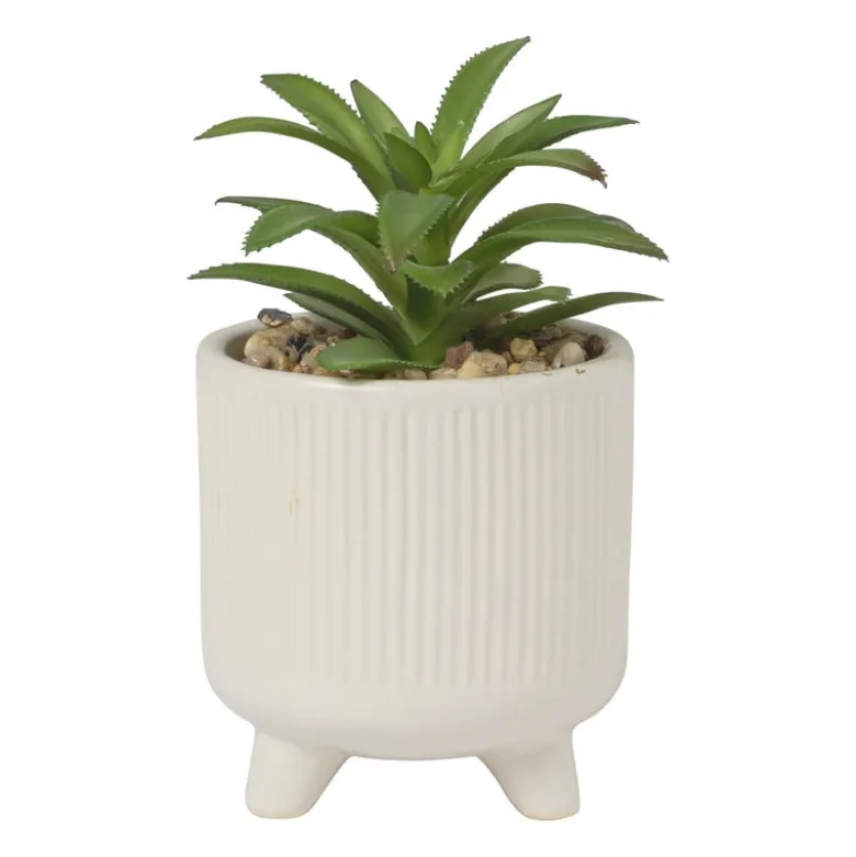 Vetplantje in pot - beige - ø8x15 cm