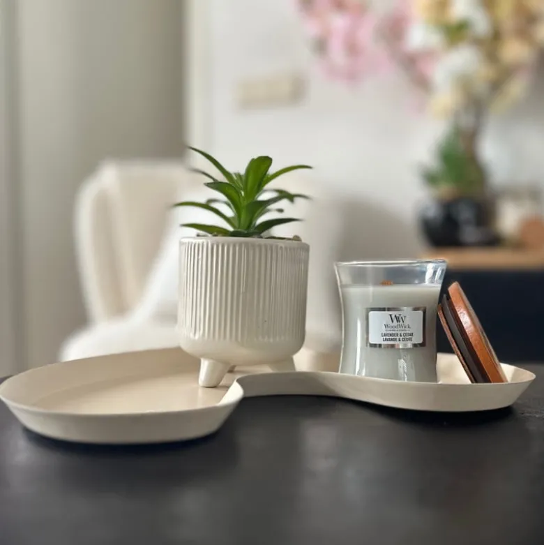 Vetplantje in pot - beige - ø8x15 cm