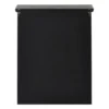 Vitrinekast 2 deuren - zwart - 60x50x15 cm